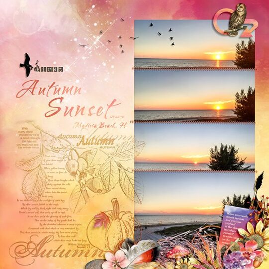 Harvest Sunset II Digital Scrapbook Kit by Karen Schulz Designs Digital Art Layout 11