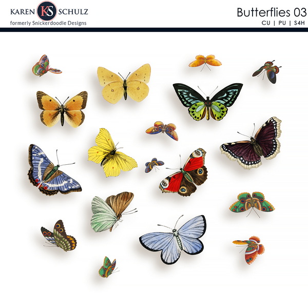 Butterflies-03-karen-schulz