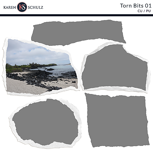 Torn Bits 01 Karen Schulz