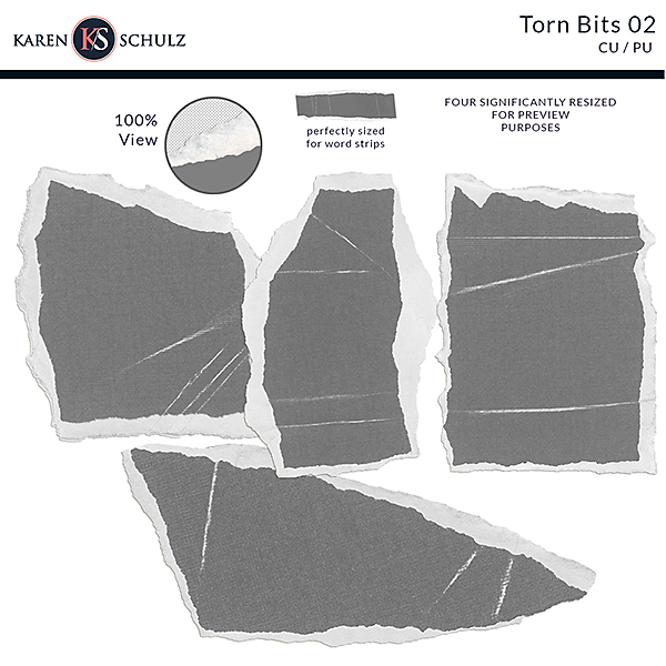 Torn Bits 02 Karen Schulz