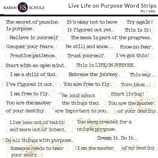 ks-live-life-on-purpose-ws