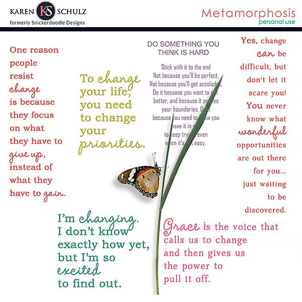 Metamorphosis Words Karen Schulz