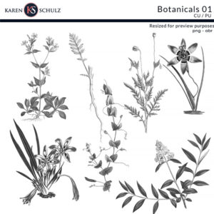 Botanical-stamps-by-karen-schulz