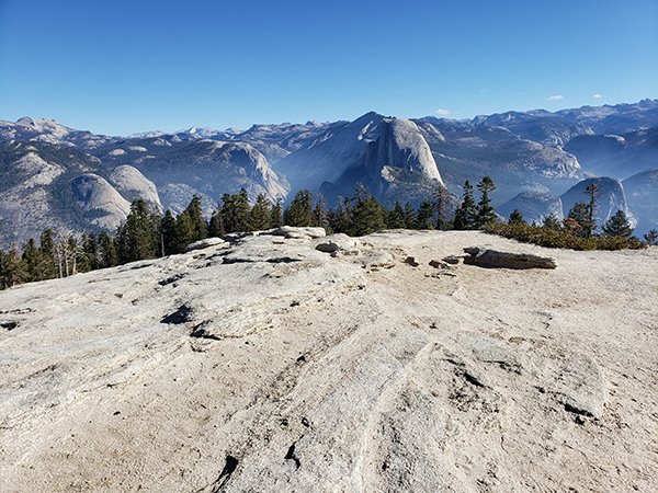 Sentinel-Dome