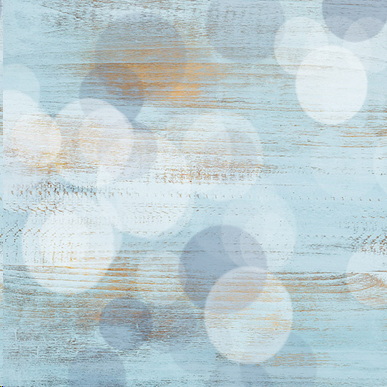 Bokeh Burst 06-Karen Schulz