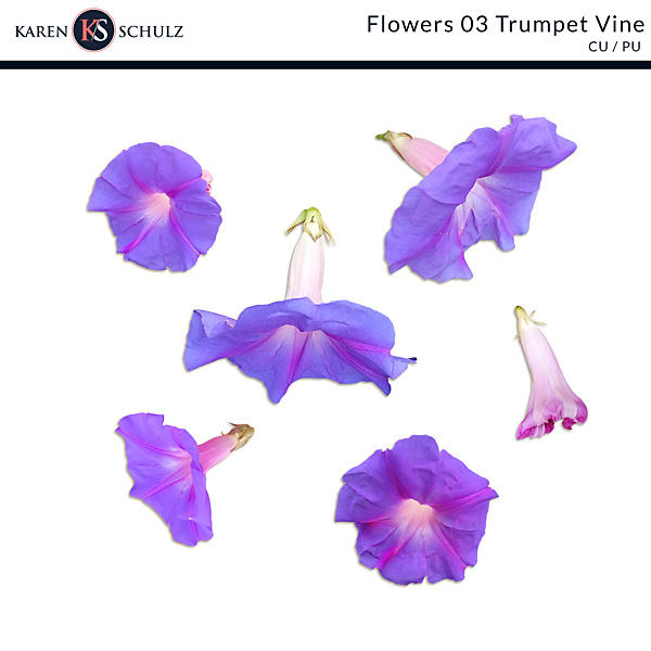 ks-cu-flowers03-trum-vine-600