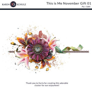 ks-this-is-me-november-gift-01-pv