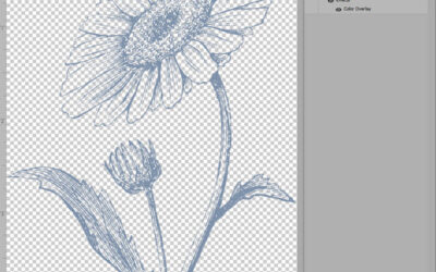 How to Color Black Brushes and Stamps in Photoshop, Part 1