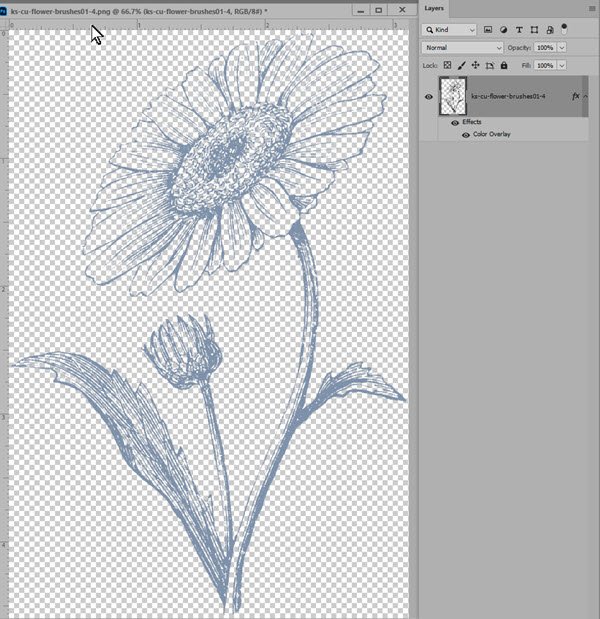 How to Color Black Brushes and Stamps in Photoshop, Part 1