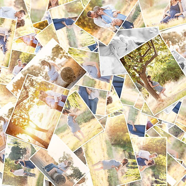 Collage from Photos Karen Schulz