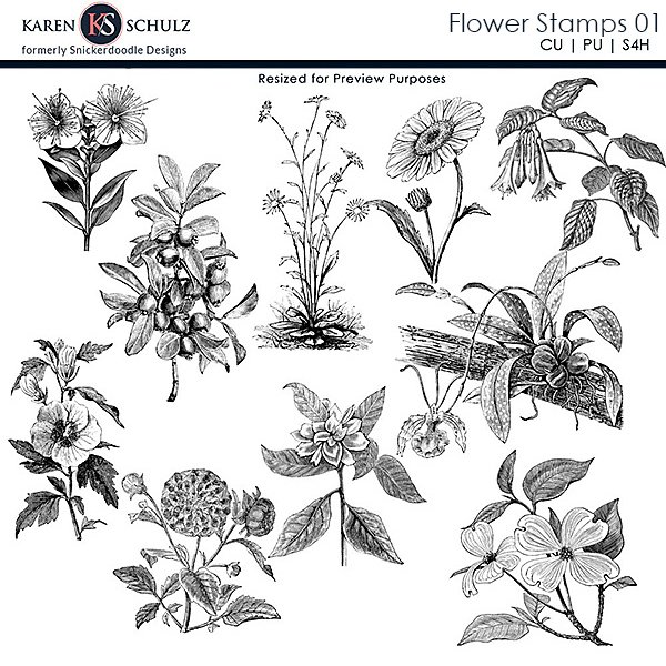 https://karenschulz.net/wp-content/uploads/2022/07/ks-cu-flower-stamps-01.jpg