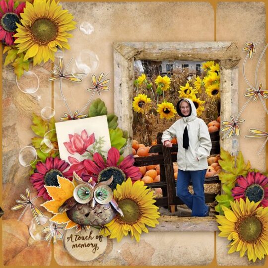 Chart Your Course by Karen Schulz Designs Digital Art Layout 7