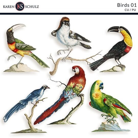 Birds 01 Digital Scrapbook Pack by Karen Schulz