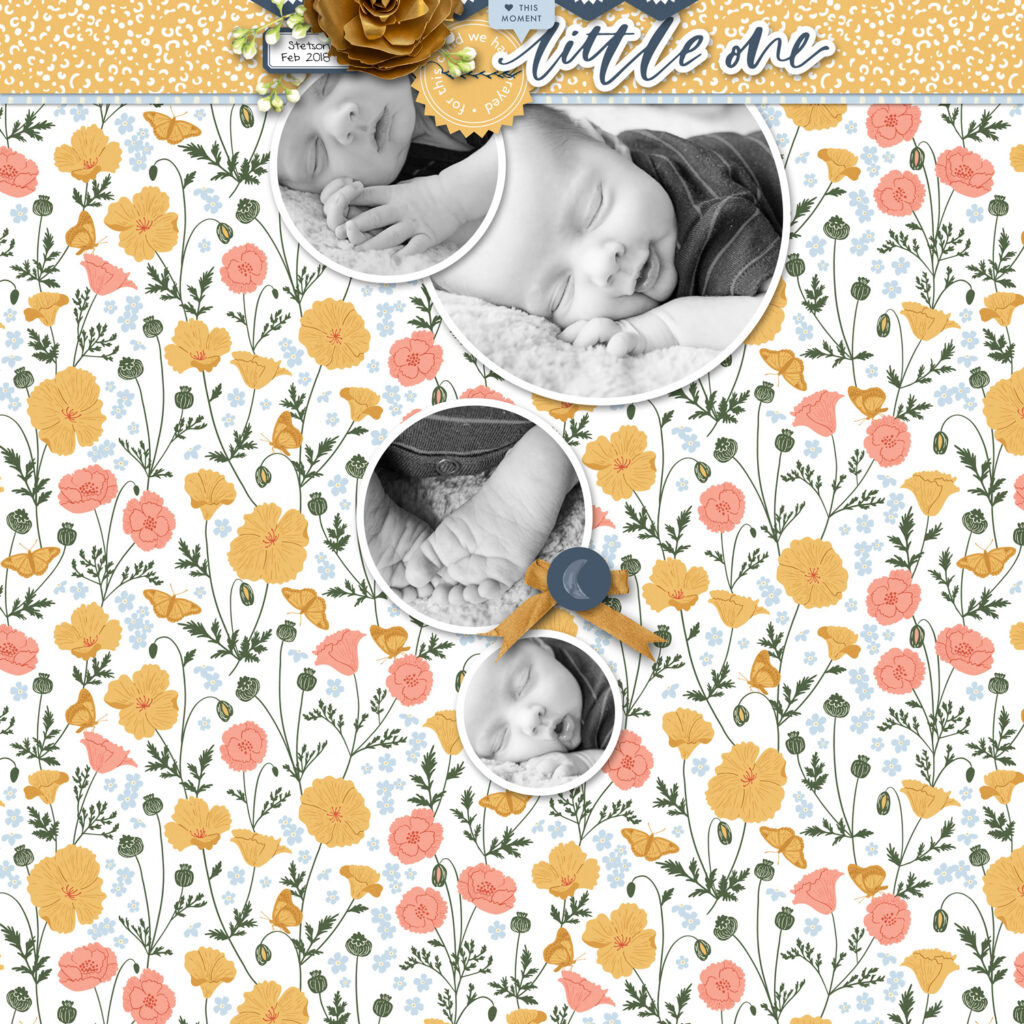 how-to-use-bold-and-busy-backgrounds-digital-scrapbooking-karen-schulz-02