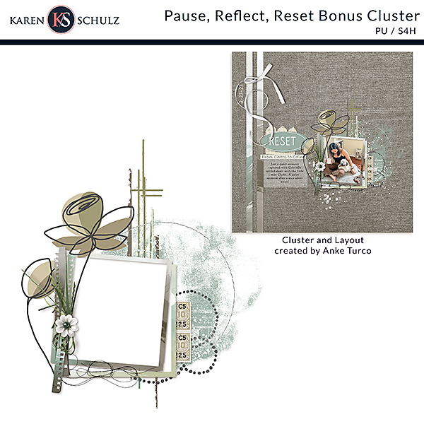 Pause, Reflect, Reset Bonus Cluster Karen Schulz