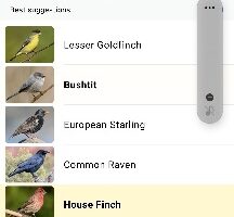 Merlin Bird ID Karen Schulz