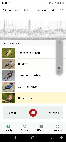 Merlin Bird ID Karen Schulz
